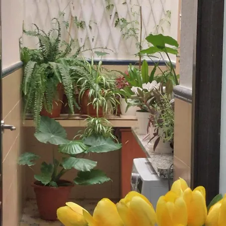 Descalzos Free Parking Lägenhet