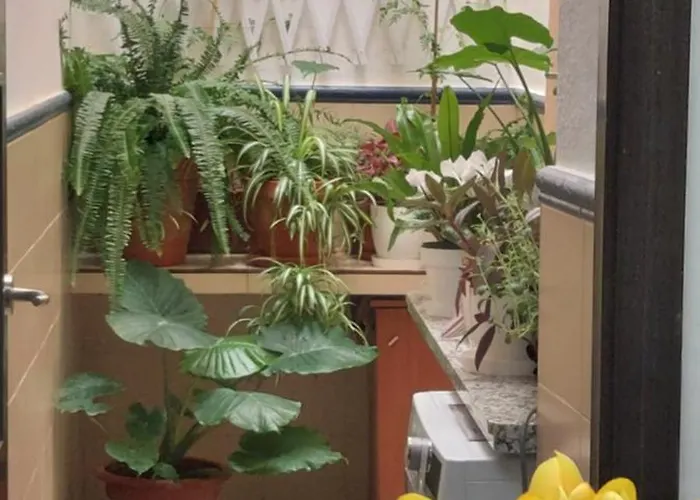 Descalzos Free Parking 公寓