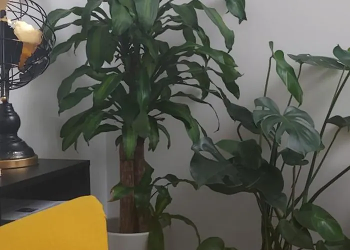 公寓 Descalzos Free Parking