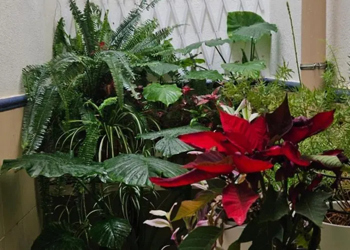 Descalzos Free Parking