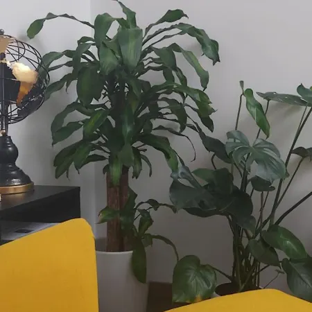 Appartement Descalzos Free Parking