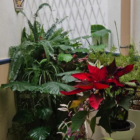 Descalzos Free Parking