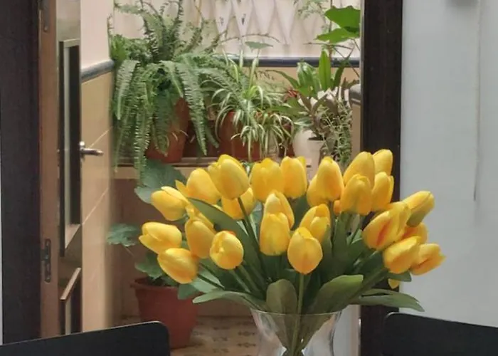 Apartman Descalzos Free Parking Ronda