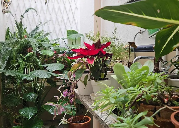 Apartman Descalzos Free Parking *