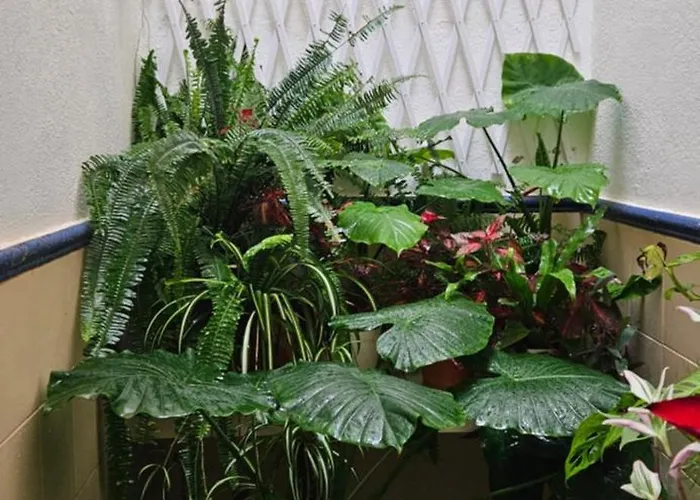 Descalzos Free Parking