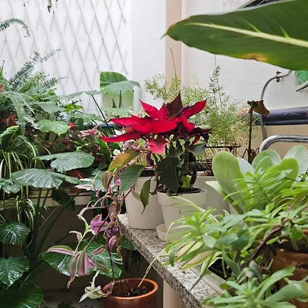 Apartamento Descalzos Free Parking *